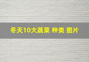 冬天10大蔬菜 种类 图片